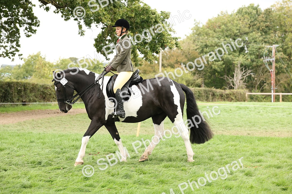 SBM_67259 - S67 - Piebald & Skewbald Horse Ridden