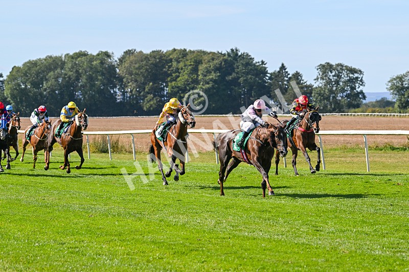 160924-Race 1-Susiesparkle-2495 - Race 1