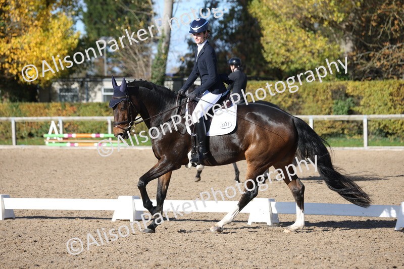 20251102-0744 - Class 4 - Novice 6