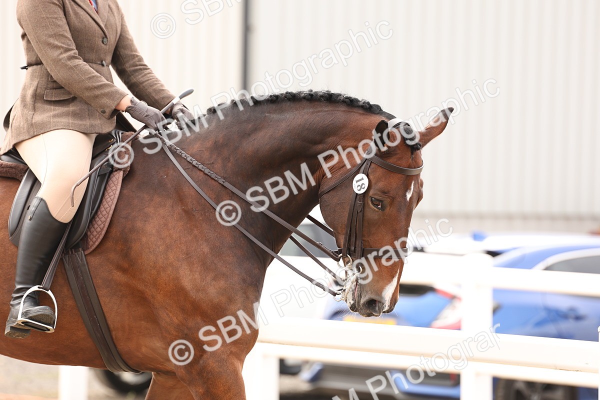 SBM_01628 - Class 52 - Ridden Veteran