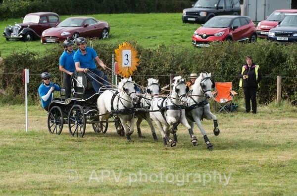 A43A4812 - Sylv & Dougie Days Out.