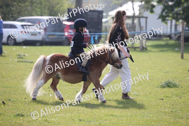 20260426-0385 - Class 30 - Tiny Tots Lead Rein