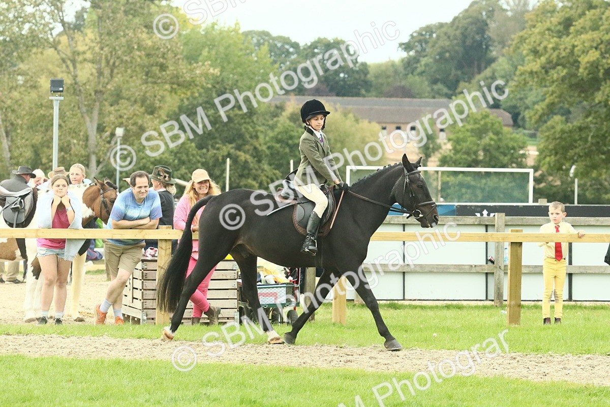 SBM_73980 - S 61 - Show Pony & Show Hunter Pony Ridden