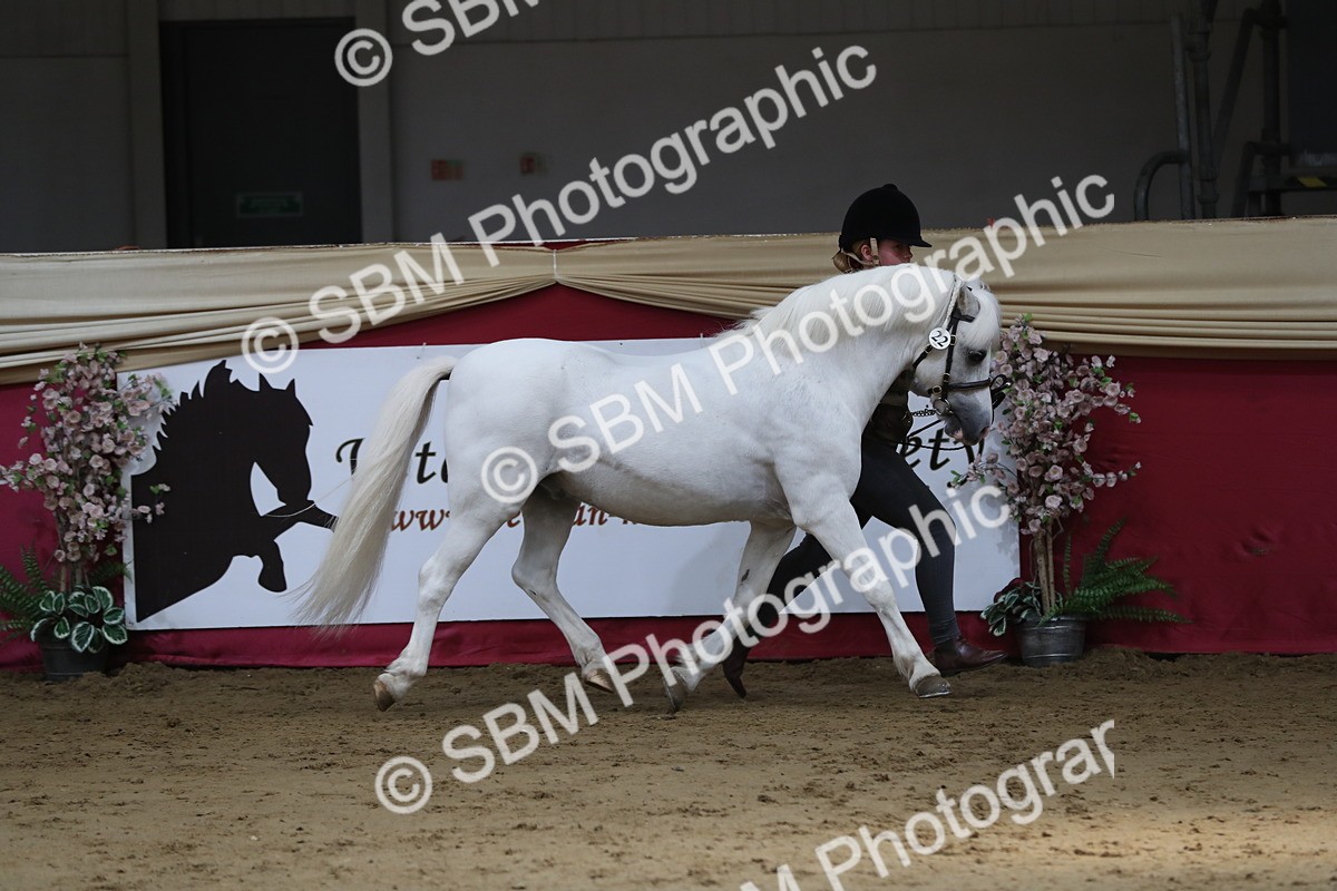 SBM_04930 - Class 8R- Regional -IH Veteran