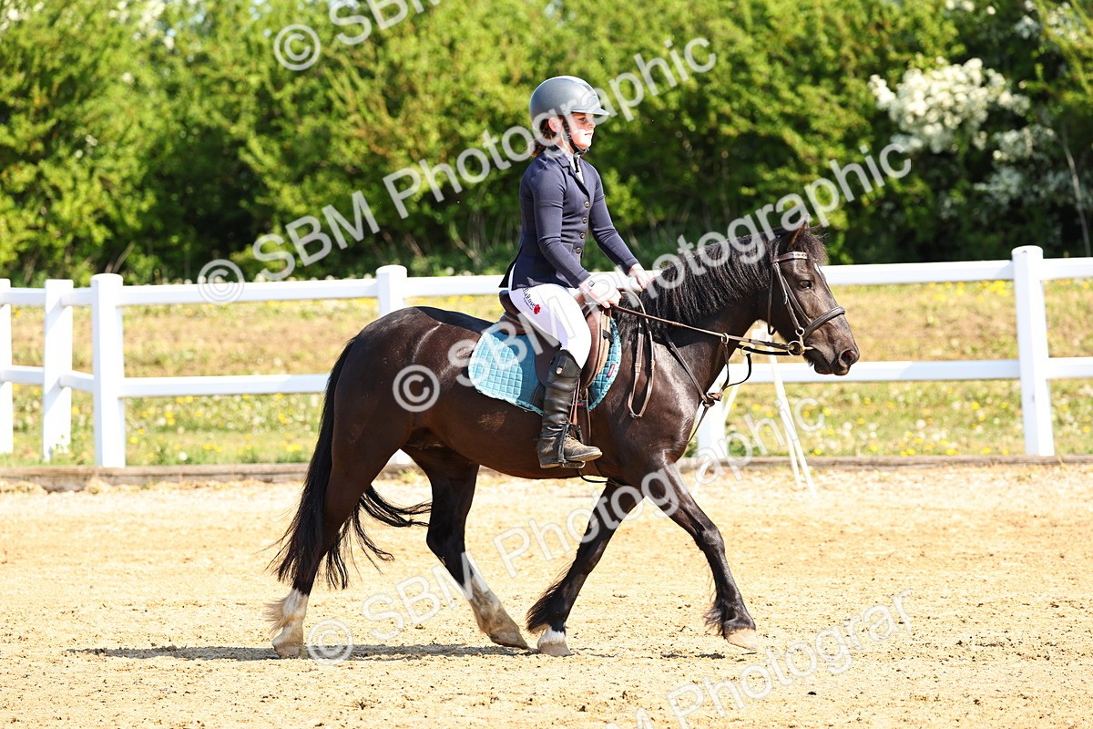 SBM_006681 - Class 2 - 50cm