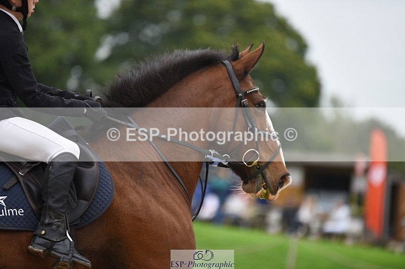 231001-132322-02733 - Cls 2 80cm 12.20 to End