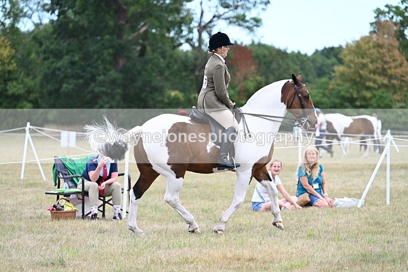 WJ7_4905 - Class 12 Ridden Cob