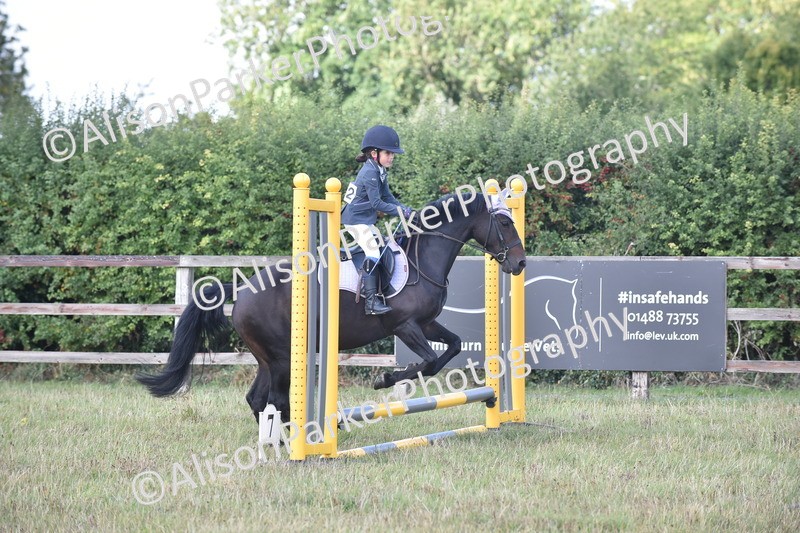 20250831-0434 - Class 7 - Absolute Novice 35cm