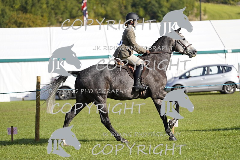 _DSC9613 - Class 8 & 17 Ridden Hunter & Ridden Hunter Pony