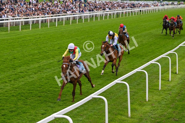 250524-Race 6-Primo Lara-4228 - Race 6 4.30pm Royal Yorkshire Regiment Handicap