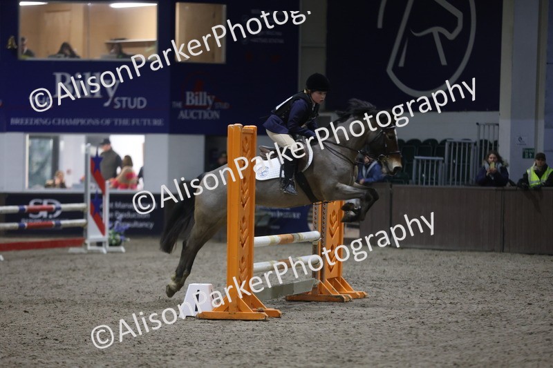 20260125-4896 - Class 5 - 80cm