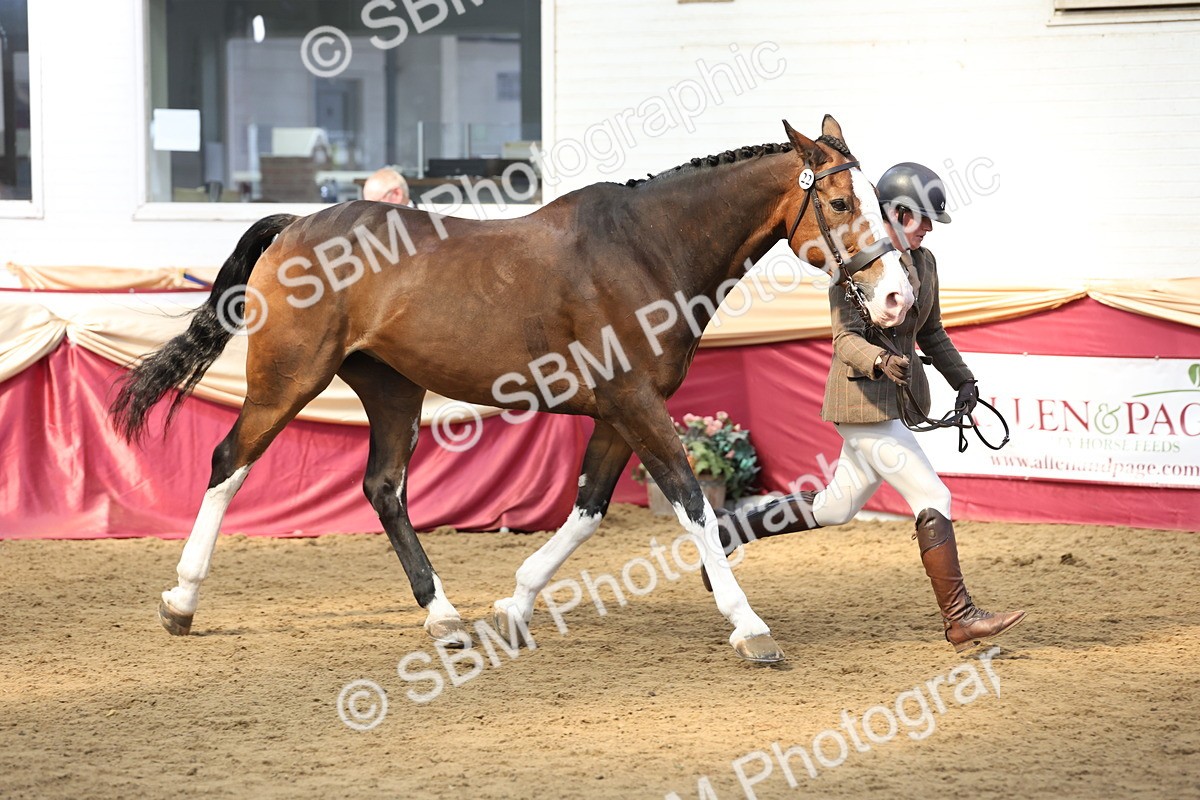 SBM_24140 - Class 905 - Supreme Final - Ridden Veteran