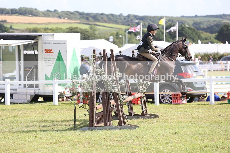 JPP_2792 - Class 20: Working Hunter 70cm