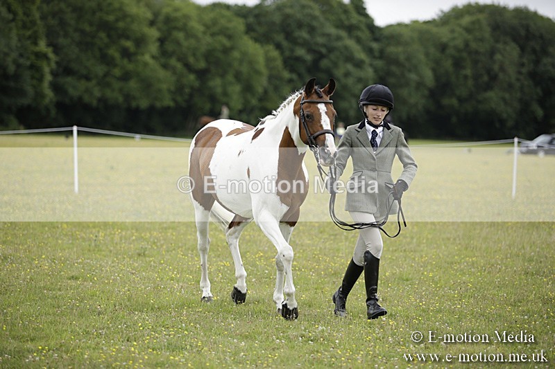 BVR160717-850 - Ring 2 BVRC Show 16/07/17