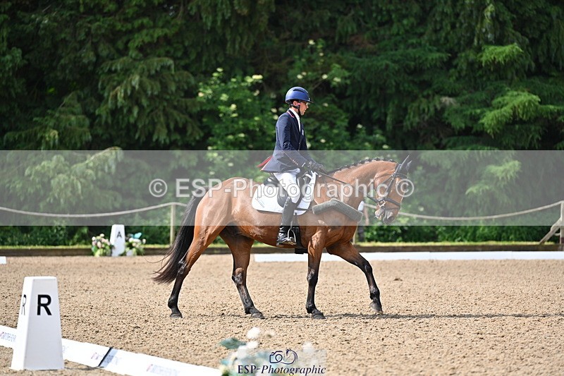 250523A-094143-05315 - C-258-Bill.Levett-ITALIAN.HARLEQUIN.NJ