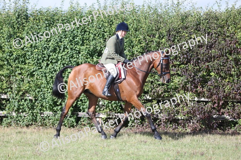 20250831-0953 - Class 14 - Ex Racehorse