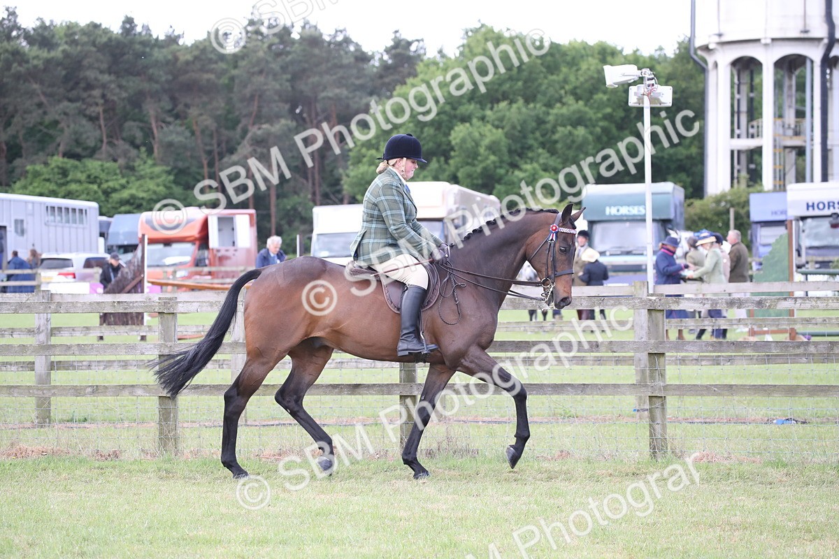 SBM_14160 - Class 113-114 - Retraining of Racehorses Ridden