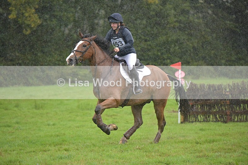 RAY_0387 - Class 4: 80cm: Double of Brushes