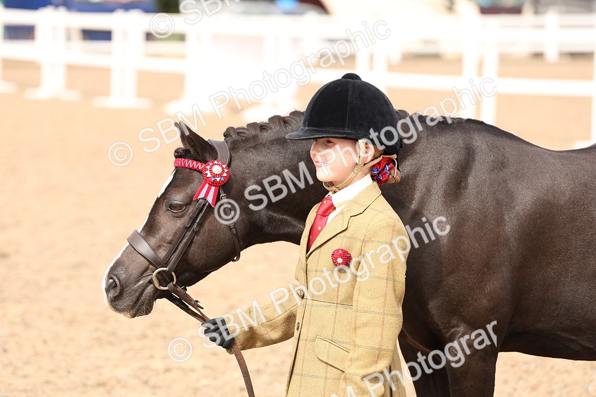 SBM_15124 - Class 209 - IH Veteran Pony