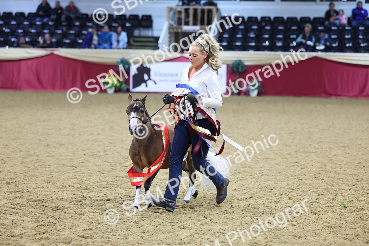 SBM_18750 - Class D IH Pony Champ