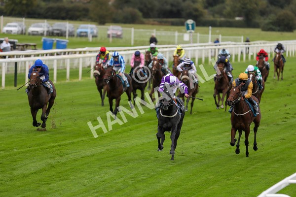 131023-Race 1-Pilgrim-9705 - Race 1 2.05pm William Hill EBF Novice Stakes