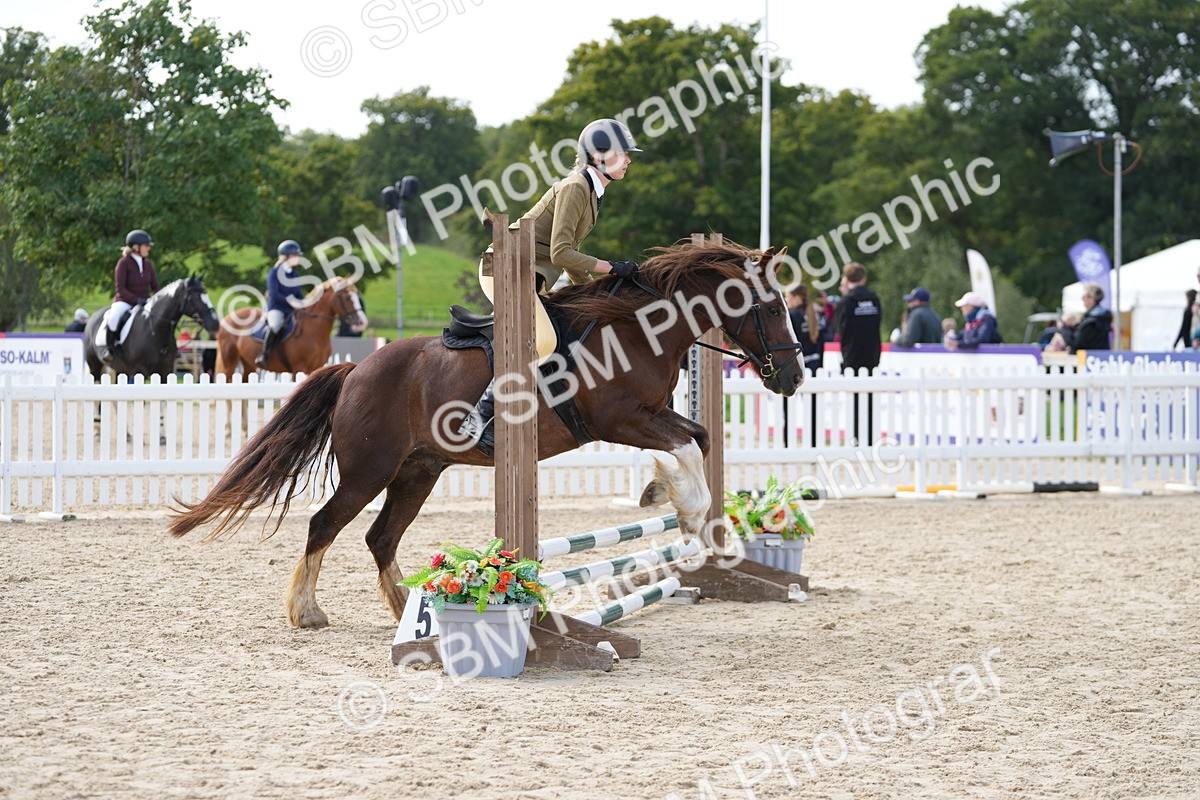 SBM_17865 - J58 - Clear Round 50cm