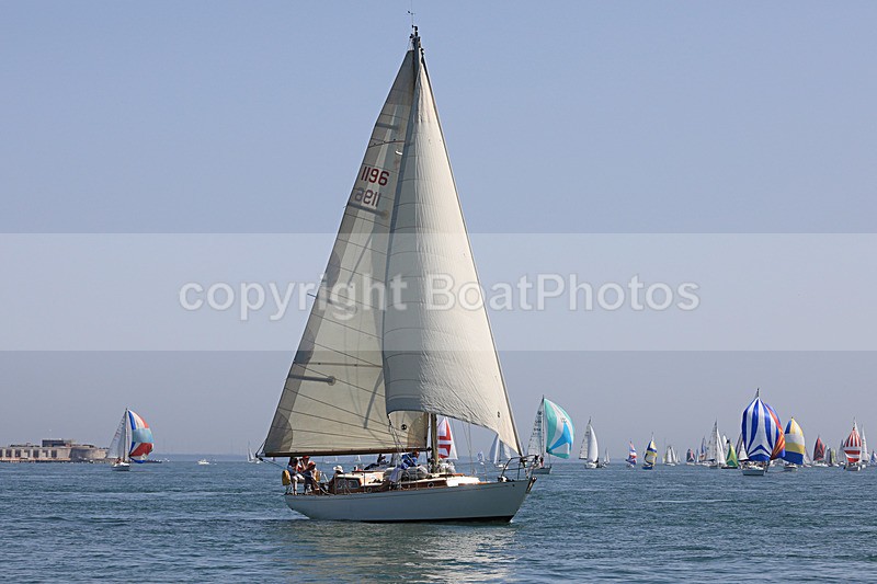 190629 ZIRCON 1196 1Y3A9941 - 190629 ZIRCON 1196