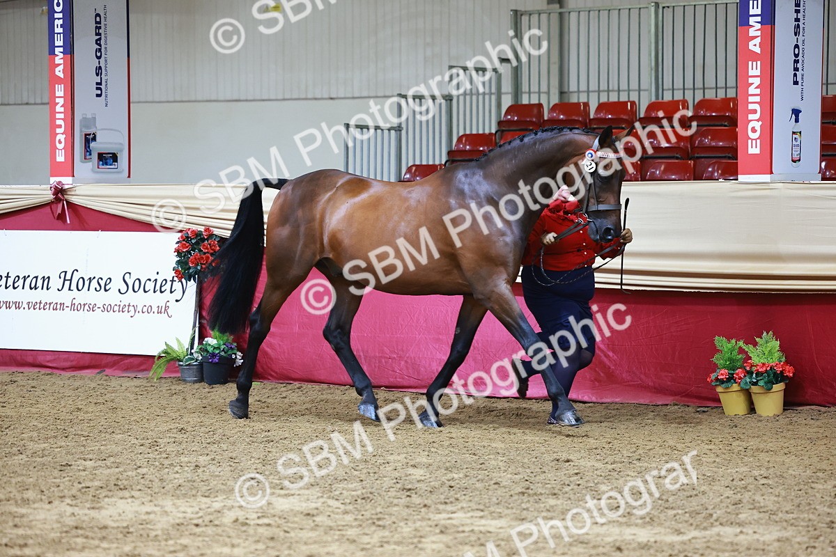 SBM_22250 - Class 902 - Supreme Final - IH Diamond