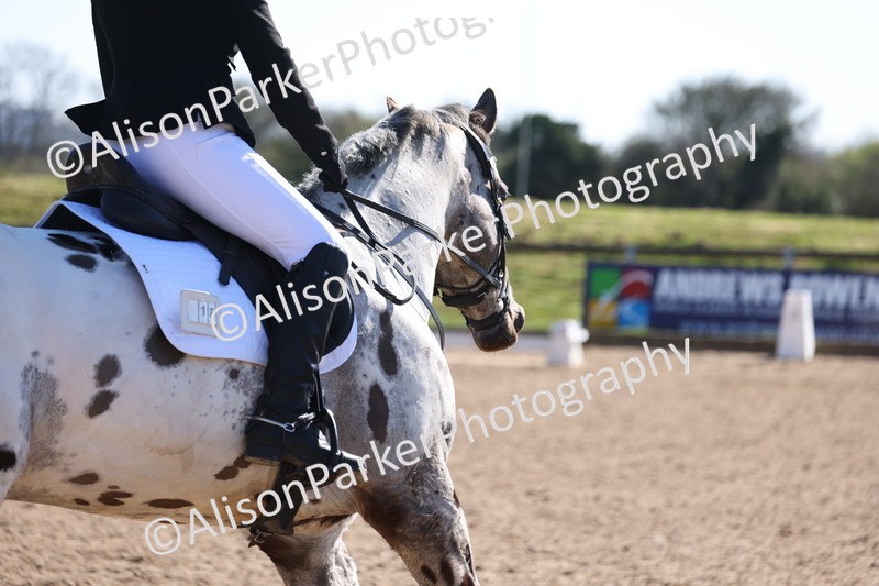 20260318-0483 - Class 5 - Novice 2