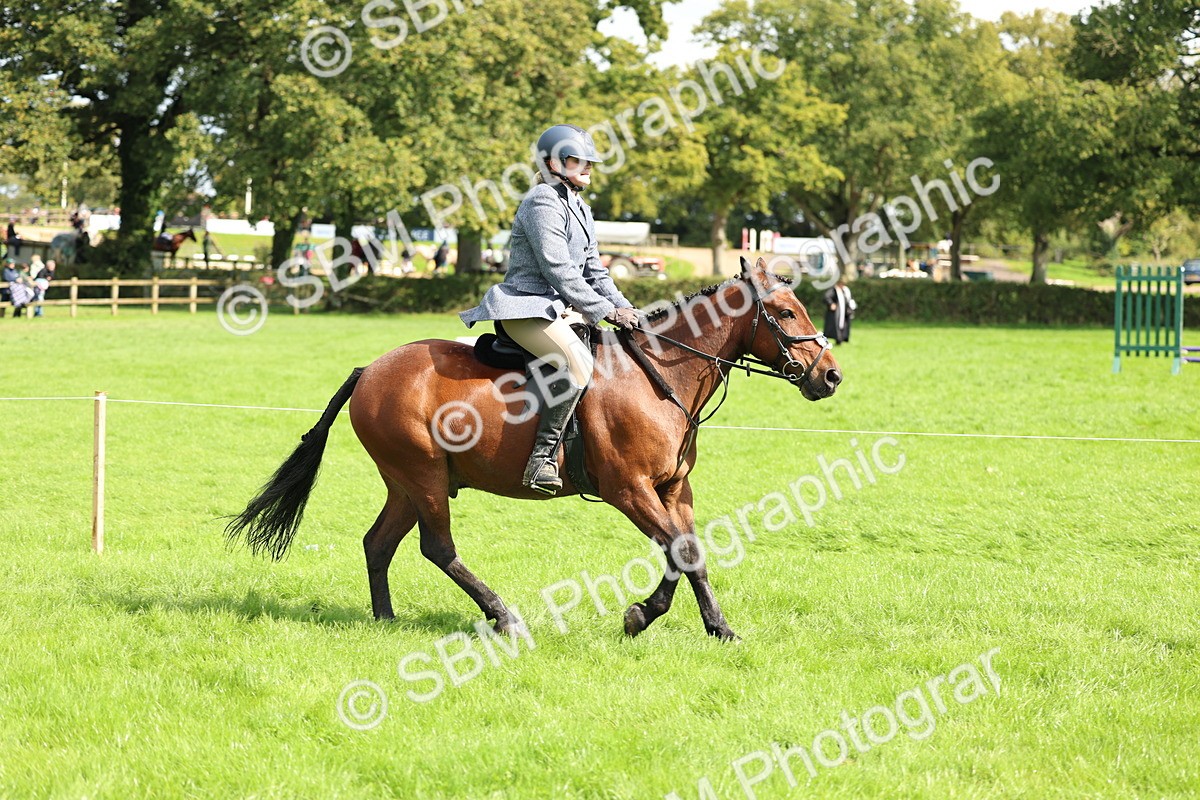 SBM_45415 - S33 - Working Hunter Pony