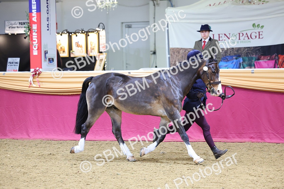 SBM_19431 - Class 901 - Supreme Final - IH Diamond