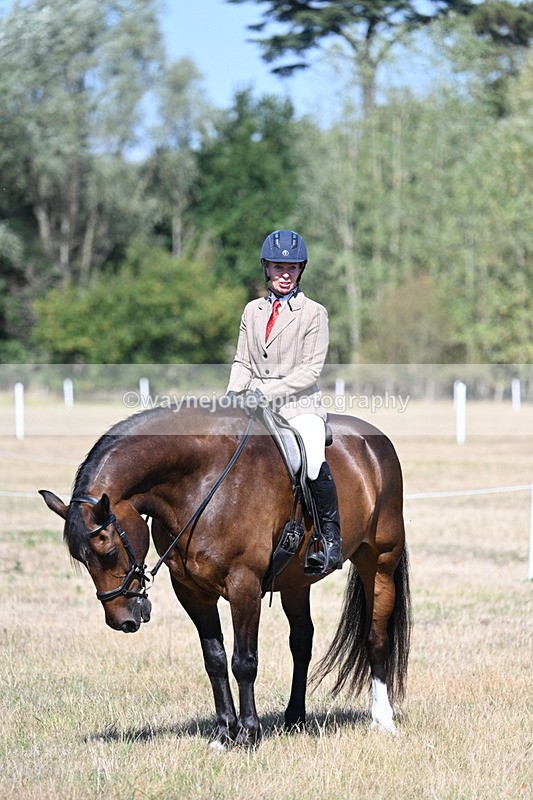 WJ7_4120 - Class 9 Mountain & Moorland Ridden