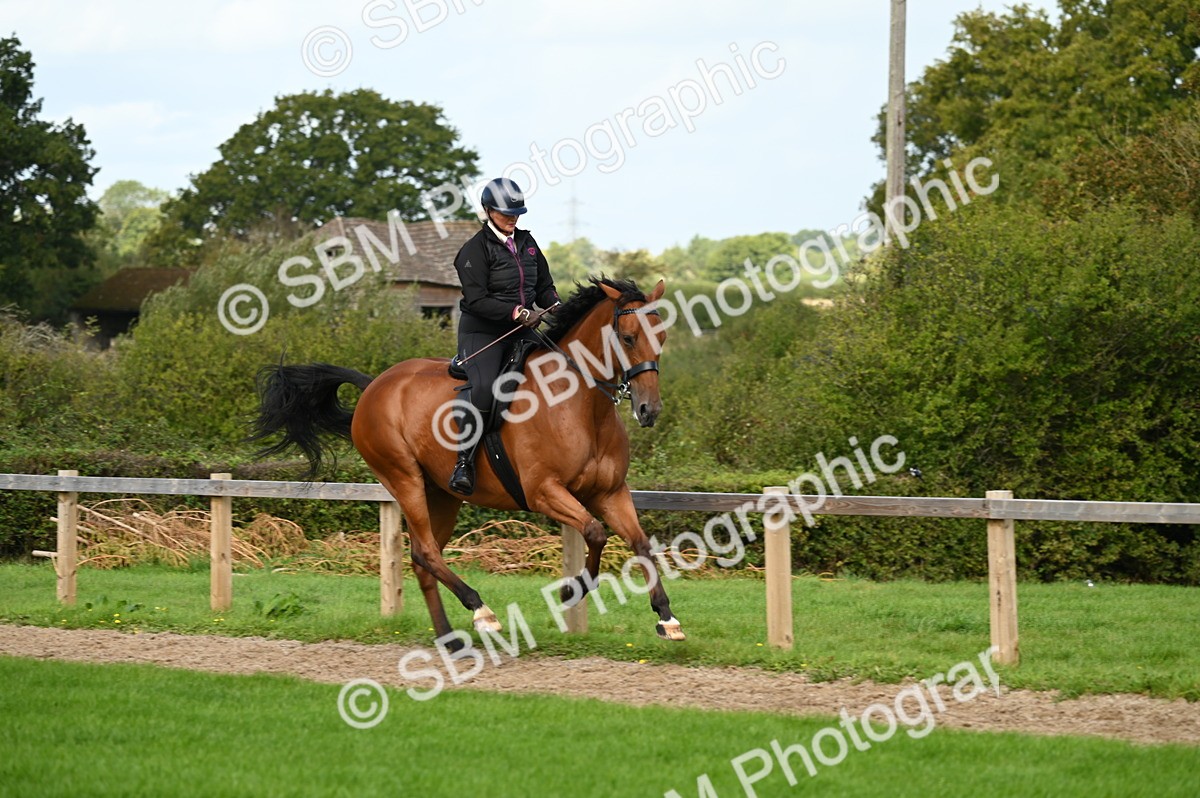 SBM_02003 - S2 - TSR Ridden Horse Showing