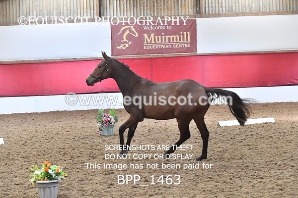 BPP_1463 - MORNING 9AM - 12PM