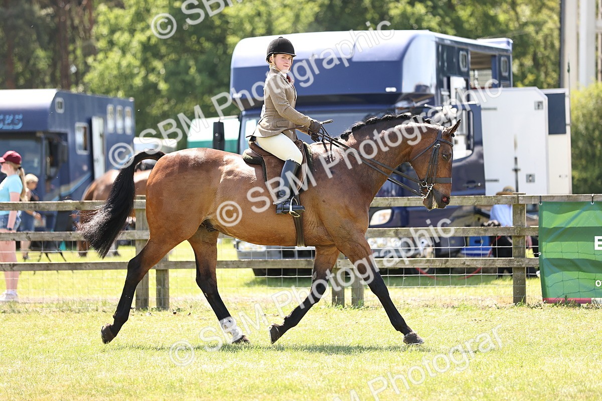 SBM_17700 - Class 81-83 - TSR Ridden Amateur of the Year - Horses
