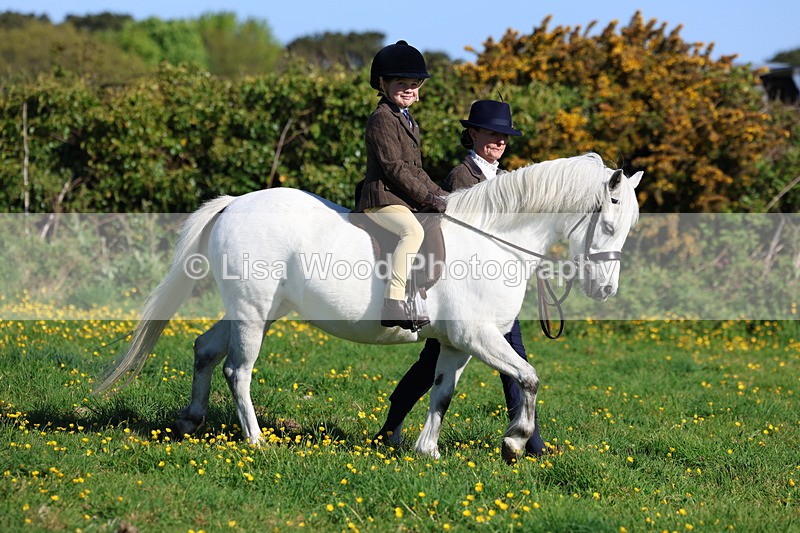 3E7A8491 - Class 2: Lead rein