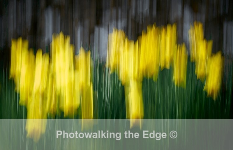  - Abstract - ICM