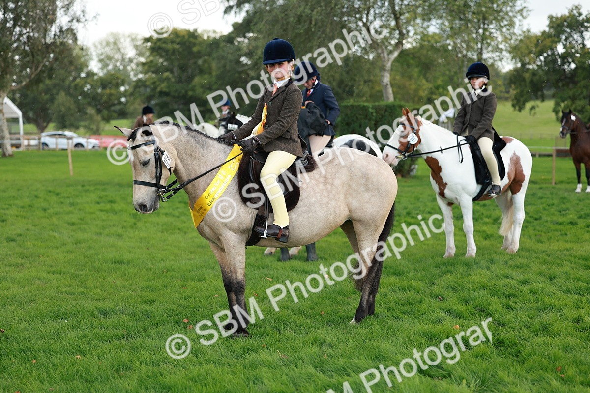 SBM_28864 - S7 - Novice & Newcomer Ridden Pony