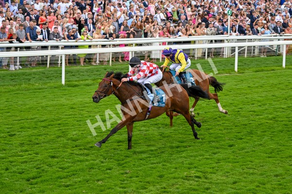 270724-Race 6-Ziggy-7531 - Race 6 5.10pm Sky Bet, For The Fans Handicap