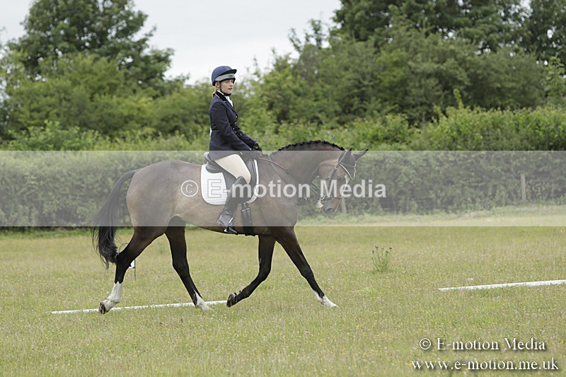 BVR160717-495 - Class 1 & 23a Dressage 16/07/17