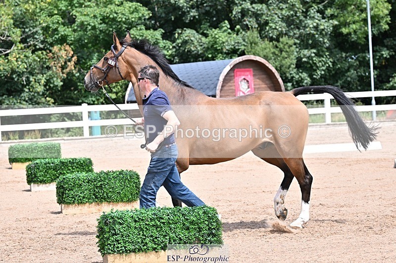 250716-124826-00177 - Trot Up 12.30 to 1.30