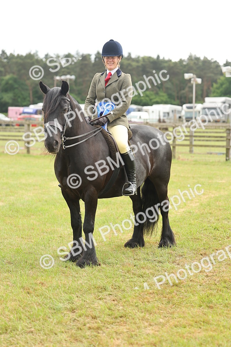 SBM_09155 - Class 78-80 - Ridden M&M Non Welsh Ponies