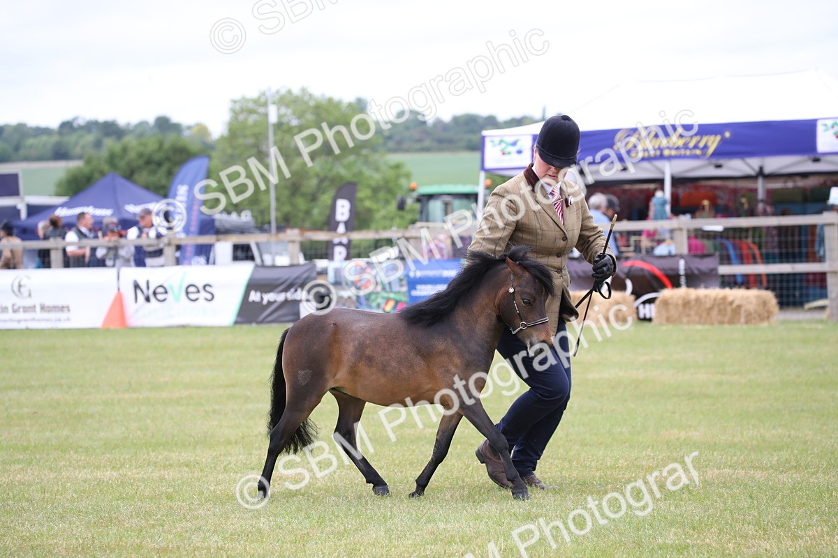 SBM_03510 - Class 23-25 - British Miniature Horse of the Year