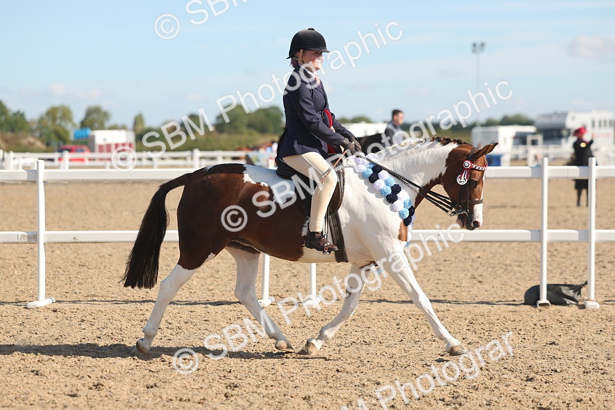 SBM_12438 - Class 304 - Ridden part Bred Horse Pony