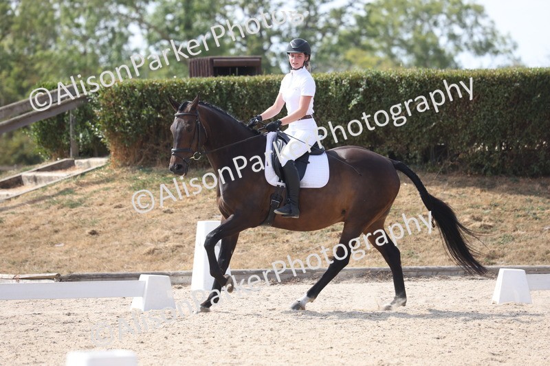 20260815-1052 - Class 6 - Novice 2