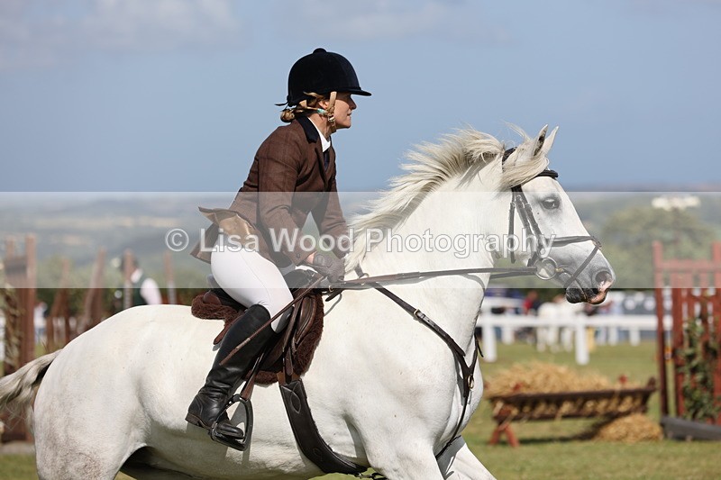 JPP_2565 - Class 20: Working Hunter 70cm