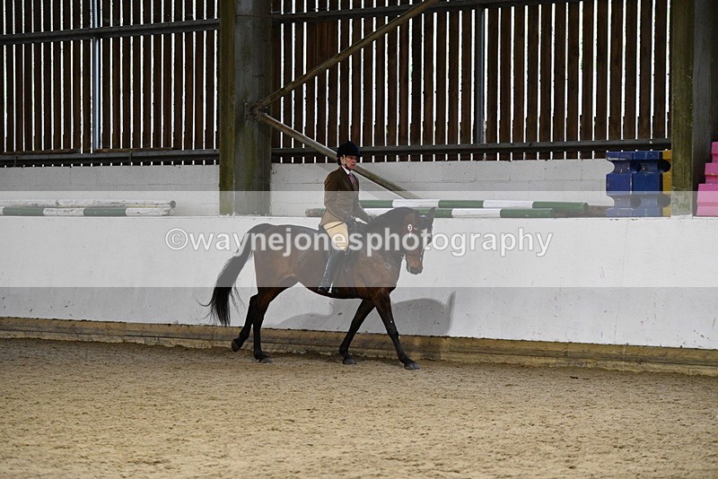 WJ5_8845 - Class 15 Ridden Show Horse