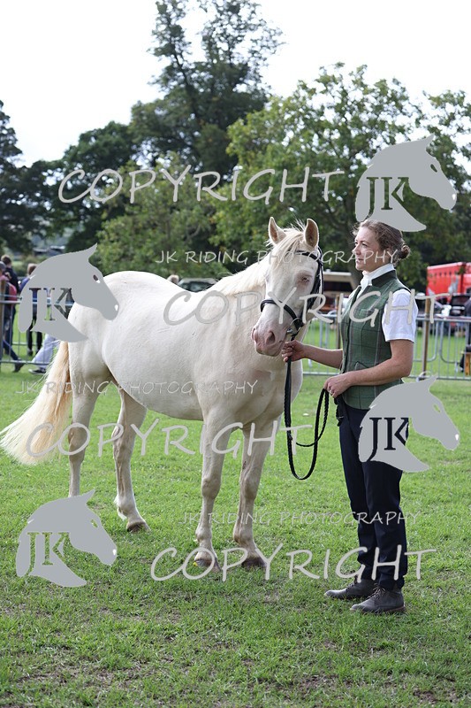 APP_2965 - Class 10a/b M&M in hand