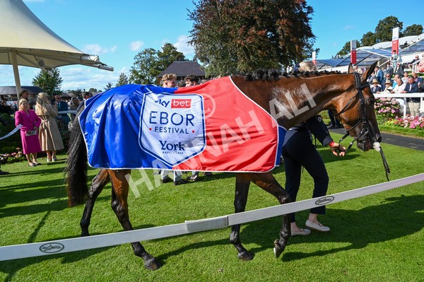 240824-Race 4-Magical Zoe-1243 - Race 4 3.35pm Sky Bet Ebor Handicap