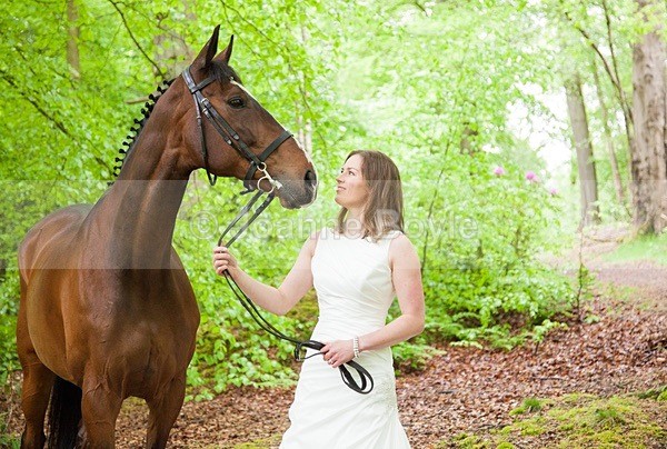 Exracehorse_plean1 - Equine Gallery Portfolio